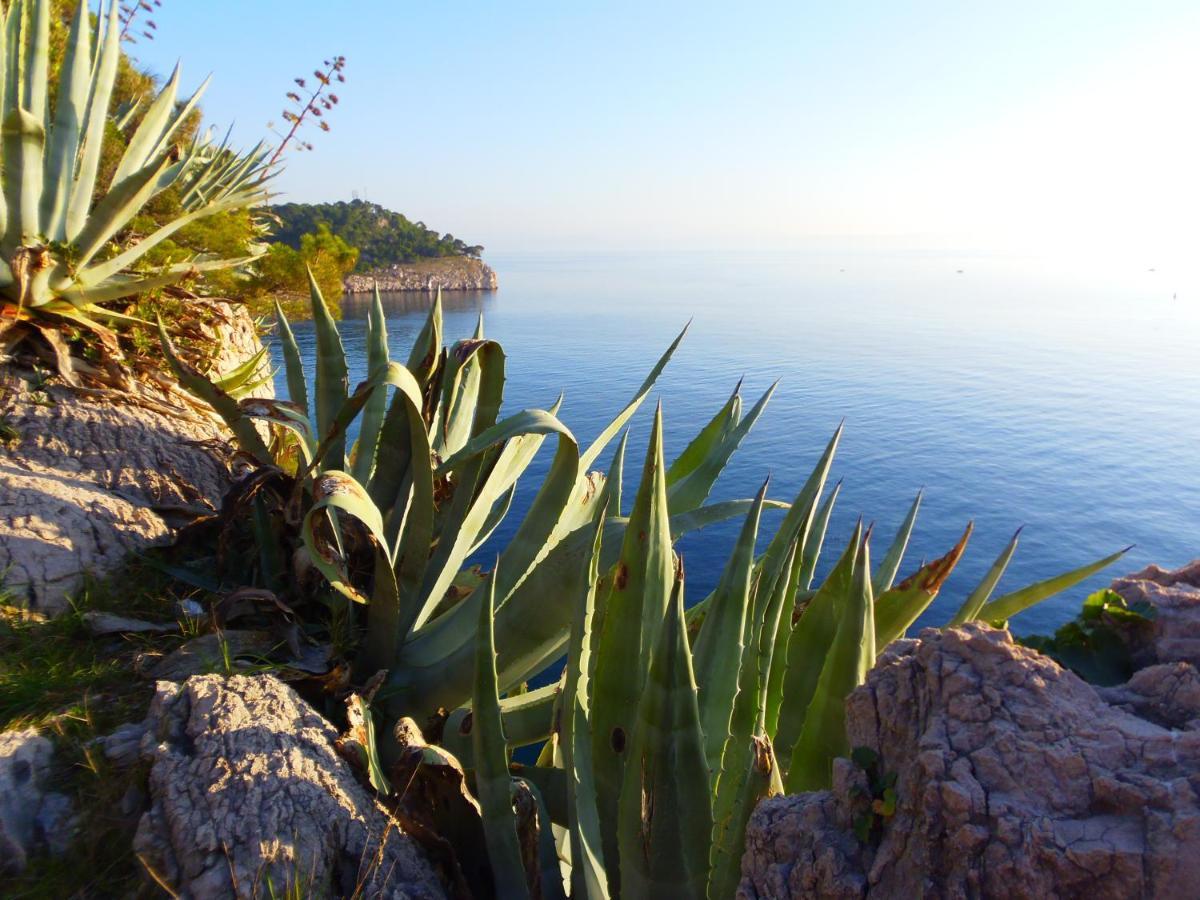 Apartment Burich Makarska Eksteriør billede